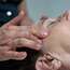 Vignette image du soin/produit Massage détente du visage